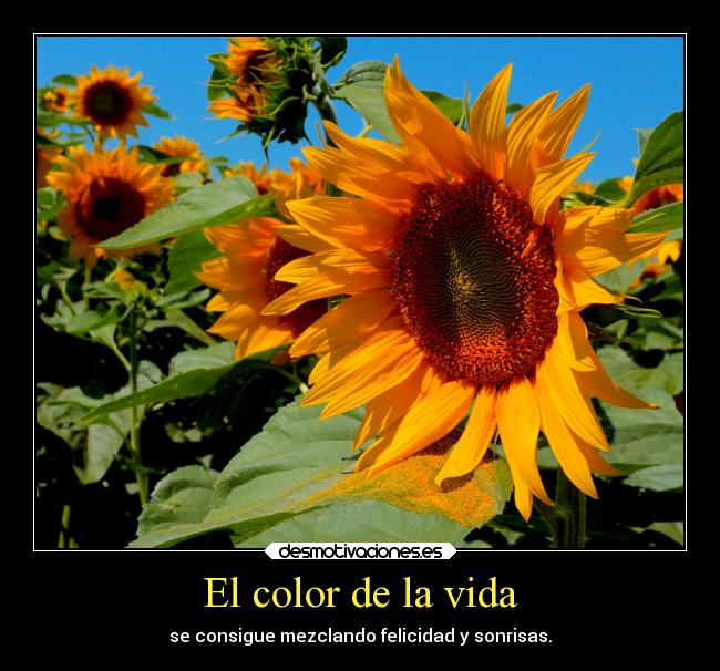 El color de la vida - se consigue mezclando felicidad y sonrisas.