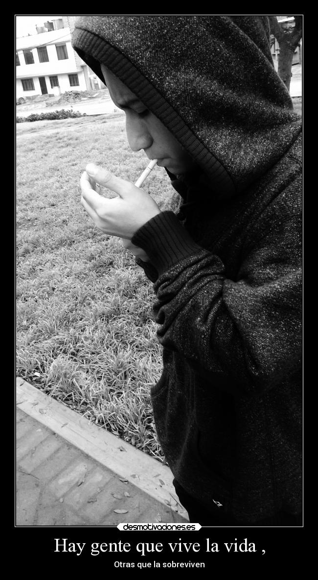 carteles vida alma vida desmotivaciones