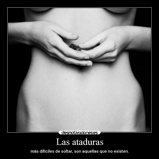 carteles vida amm martasyrko desmotivaciones