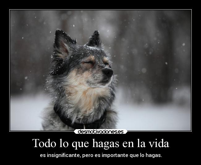 Todo lo que hagas en la vida - 