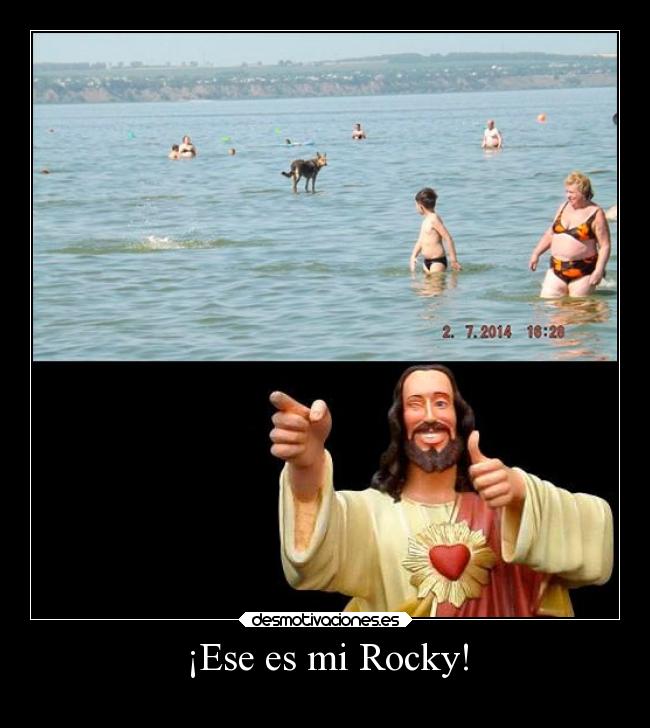 ¡Ese es mi Rocky! - 
