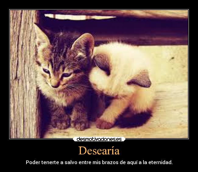 Desearía - Poder tenerte a salvo entre mis brazos de aquí a la eternidad.