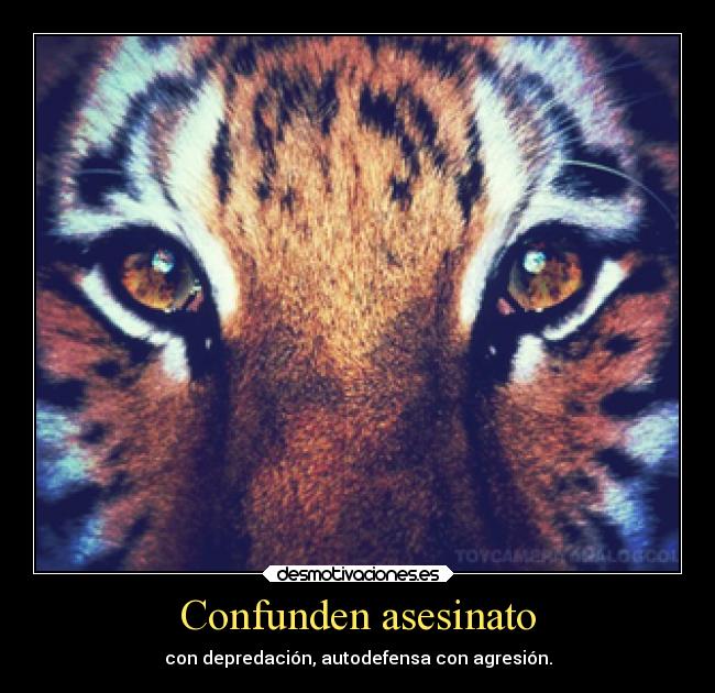 Confunden asesinato -