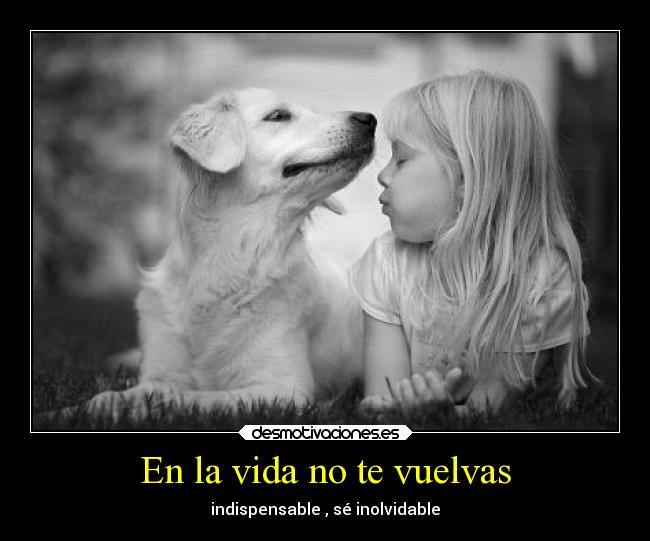 carteles vida animales amor desmotivaciones