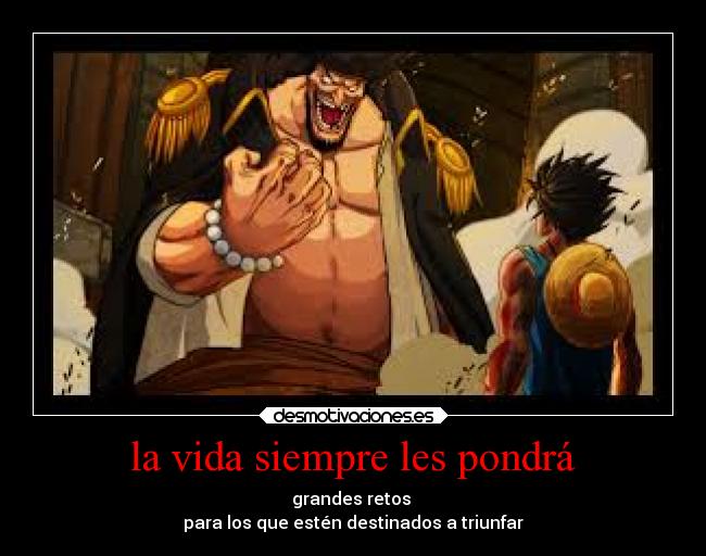 carteles vida anime one piece luffy desmotivaciones