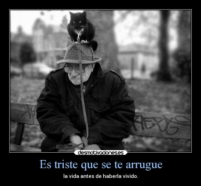 carteles vida arrugas resubido malditos trolls por una errata seis negas que cono bahh paso ahi queda etiquet desmotivaciones