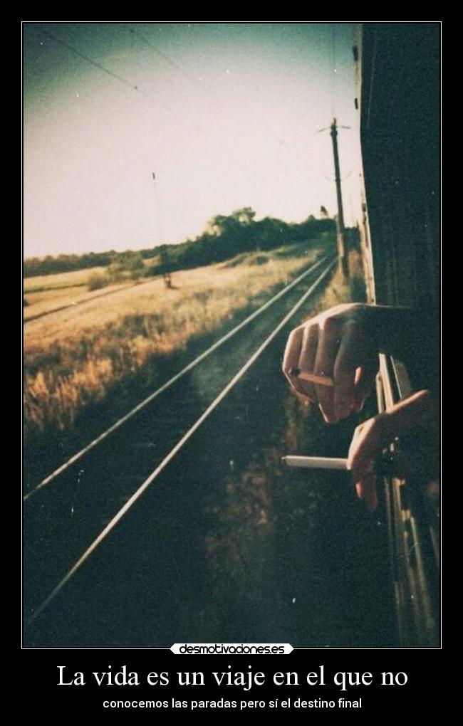 carteles vida celos desmotivaciones