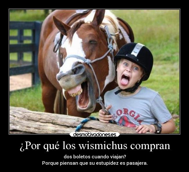 ¿Por qué los wismichus compran - 