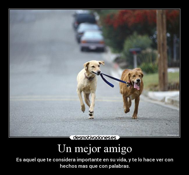 Un mejor amigo -