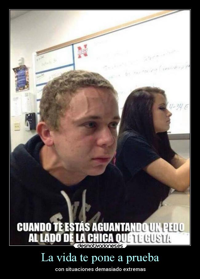 carteles vida deseos amor tecomeras mis pedos teenamoras demi desmotivaciones