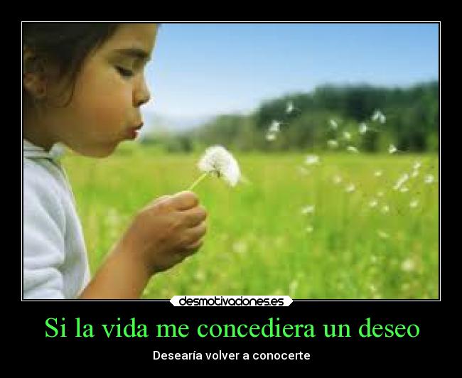 Si la vida me concediera un deseo -