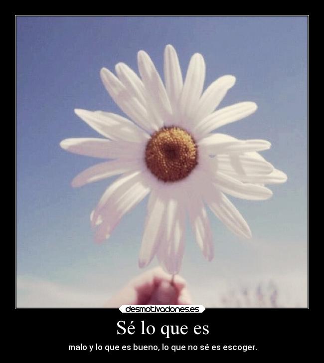 Sé lo que es -