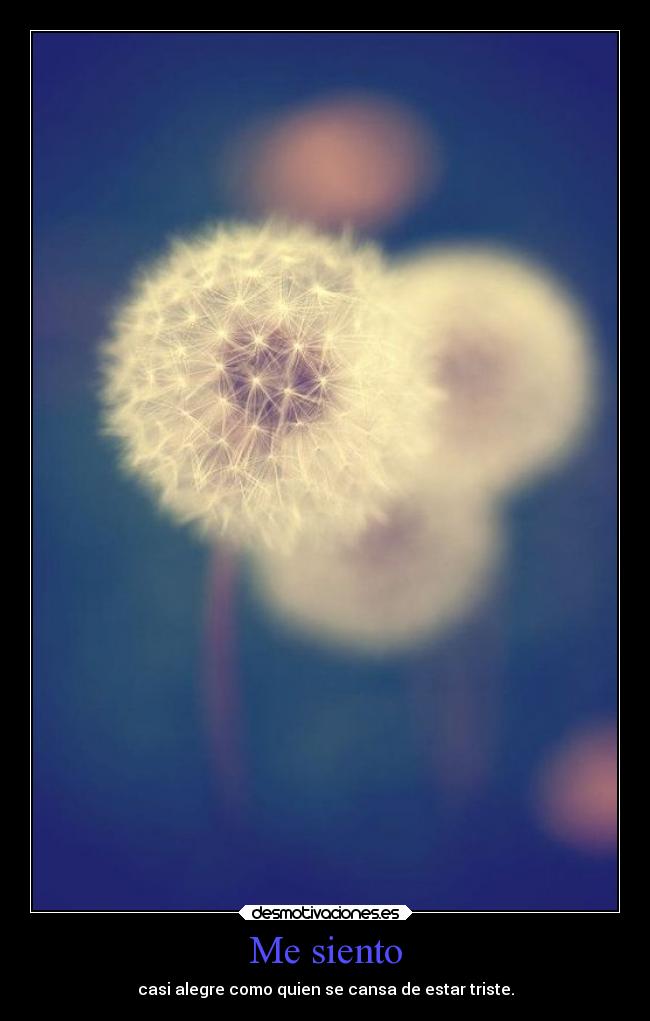 Me siento - casi alegre como quien se cansa de estar triste.