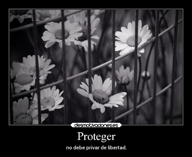 carteles vida desmotivaciones