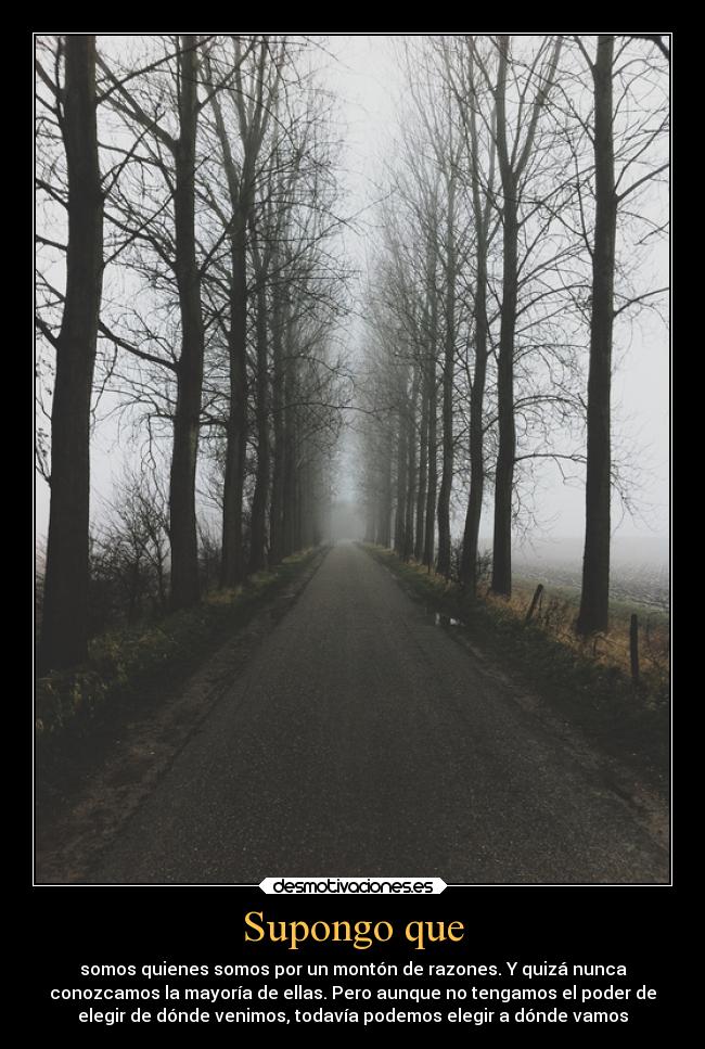 Supongo que - somos quienes somos por un montón de razones. Y quizá nunca
conozcamos la mayoría de ellas. Pero aunque no tengamos el poder de
elegir de dónde venimos, todavía podemos elegir a dónde vamos