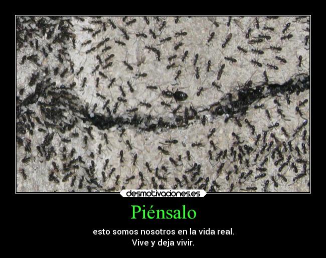 Piénsalo - esto somos nosotros en la vida real.
Vive y deja vivir.