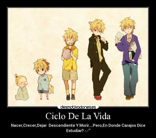 Ciclo De La Vida - 