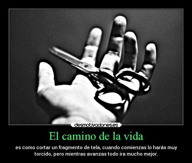 El camino de la vida - 