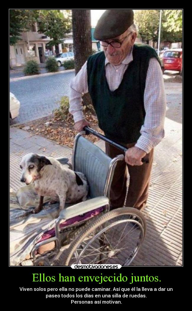 Ellos han envejecido juntos. - 