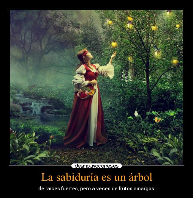La sabiduría es un árbol - 