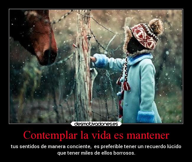 Contemplar la vida es mantener - tus sentidos de manera conciente, es preferible tener un recuerdo lúcido
que tener miles de ellos borrosos.
