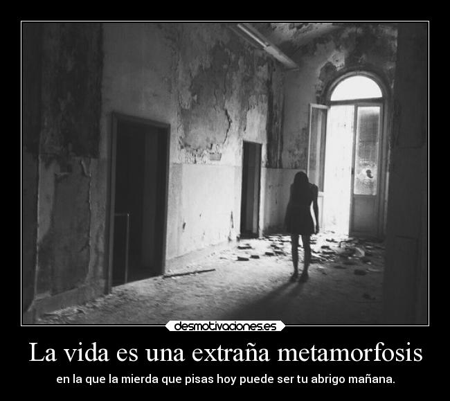 La vida es una extraña metamorfosis - en la que la mierda que pisas hoy puede ser tu abrigo mañana.