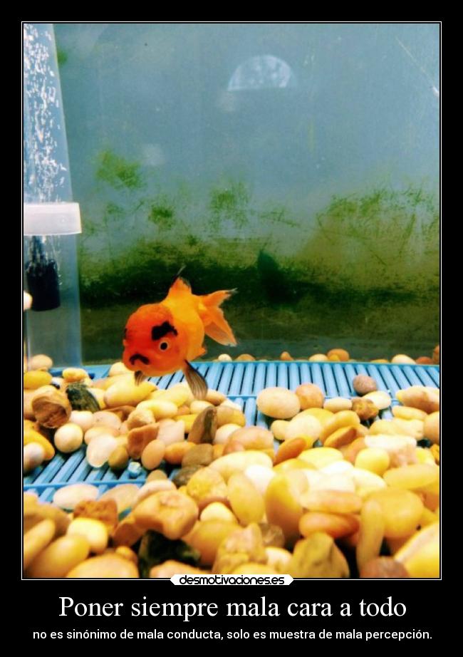 Poner siempre mala cara a todo - no es sinónimo de mala conducta, solo es muestra de mala percepción.