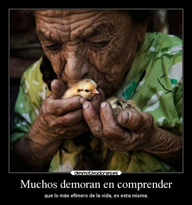 Muchos demoran en comprender - que lo más efímero de la vida, es esta misma.