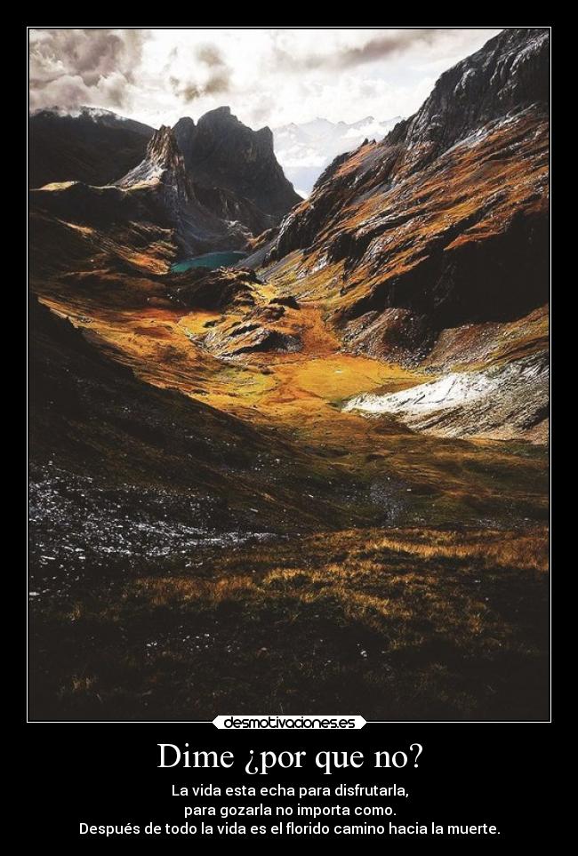 carteles vida lleno desmotivaciones