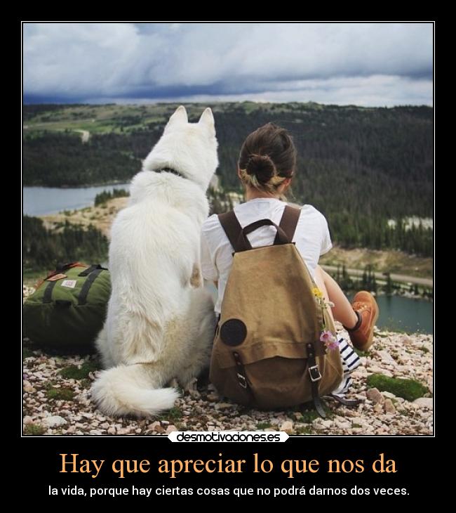 carteles vida mascotas apreciar cosas rilacs kellogstime desmotivaciones