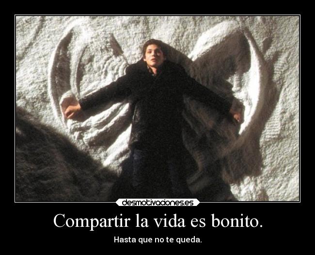 carteles vida vida mierda logan lerman charlie pim pam pum npi verdad interrogacion desmotivaciones