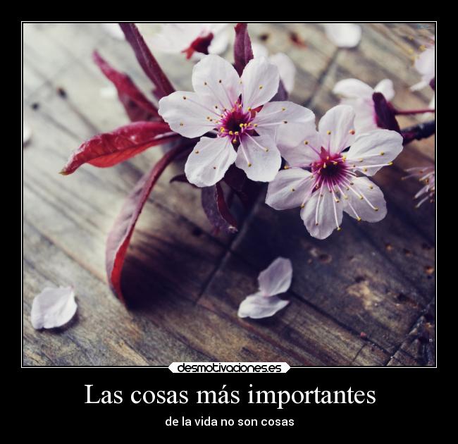 Las cosas más importantes - 