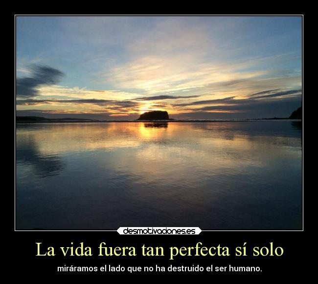 carteles vida naturaleza vida casi perfecta miraramos lado destruido humano pureza paz crazygirlapple anochecer desmotivaciones