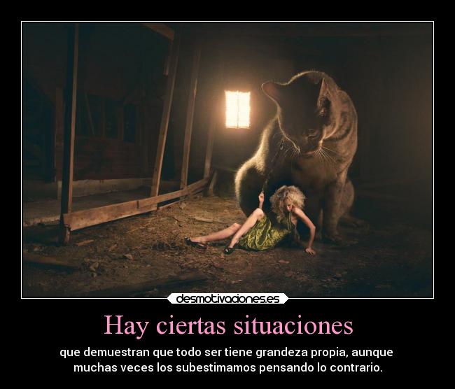 Hay ciertas situaciones - que demuestran que todo ser tiene grandeza propia, aunque
muchas veces los subestimamos pensando lo contrario.