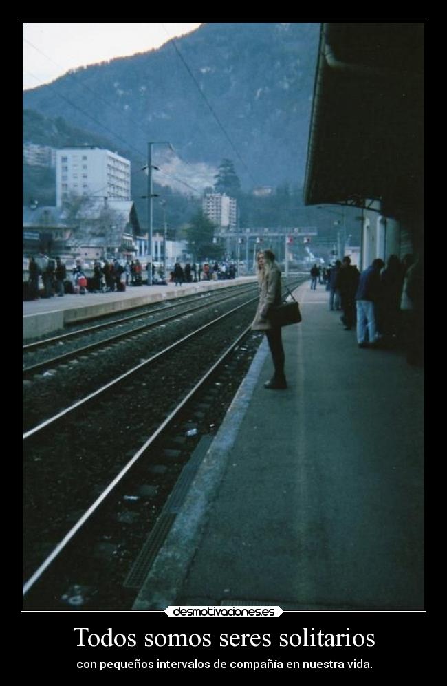 Todos somos seres solitarios - 