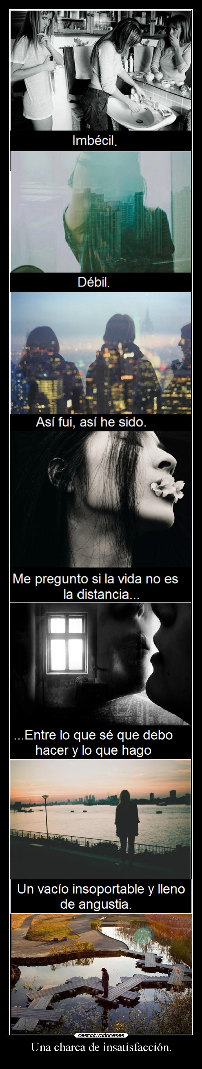 carteles vida sindromedemozart owner rqrq desmotivaciones