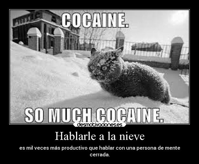 carteles vida sociedad mundo ignorancia gatos frases enfados criticas abrazos desmotivaciones