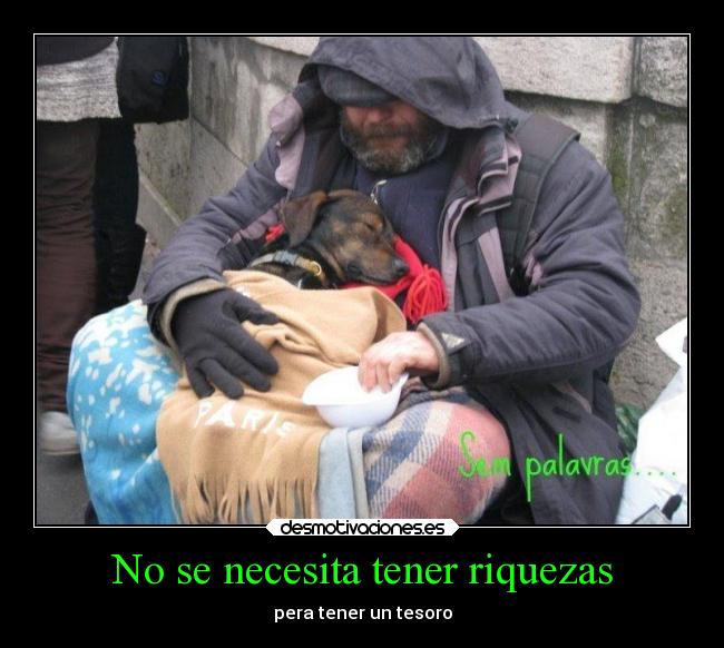 carteles vida sociedad sentimientos motivaciones frases esperanza corazon animales amor desmotivaciones