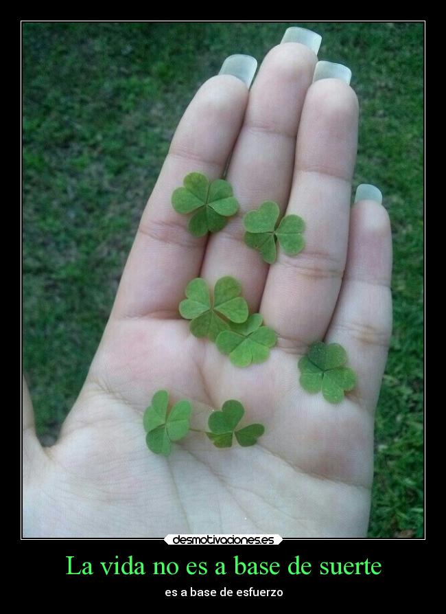 La vida no es a base de suerte - 