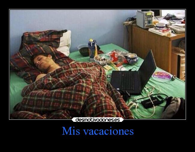 Mis vacaciones -