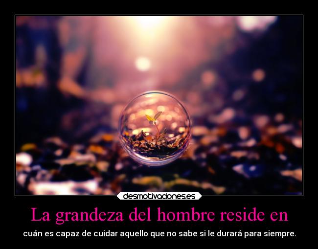 La grandeza del hombre reside en - 