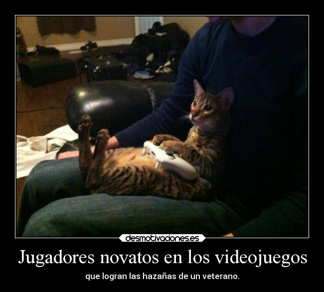 Jugadores novatos en los videojuegos -