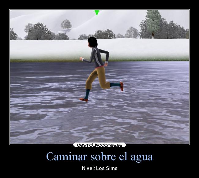 Caminar sobre el agua - Nivel: Los Sims