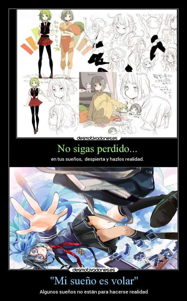 Mi sueño es volar - 