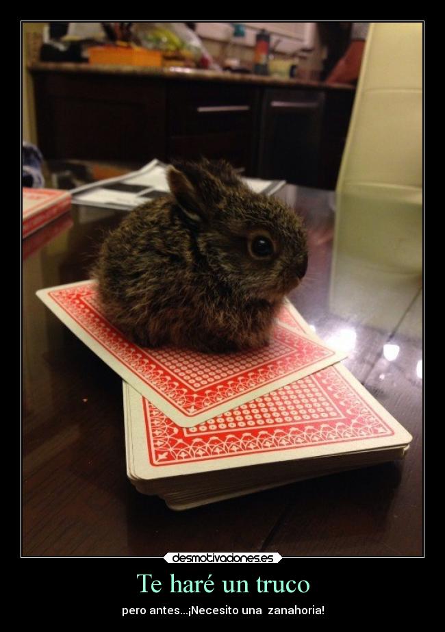 Te haré un truco -