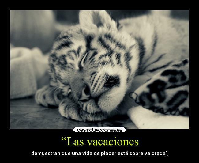 carteles alegria vacaciones tigre blanco negro georgii volvi zalgo gotham johansor magica darcky desmotivaciones