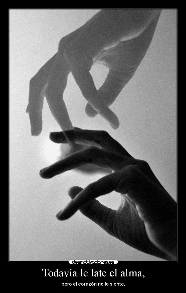 Todavía le late el alma, -