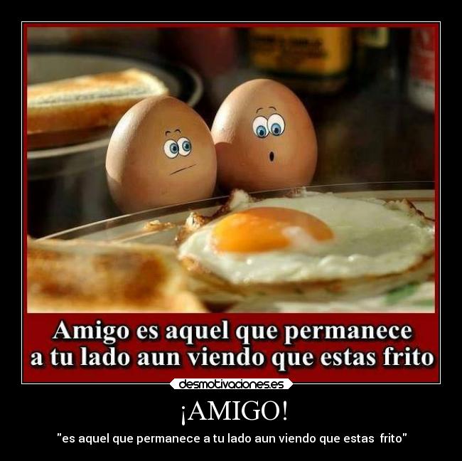 ¡AMIGO! -