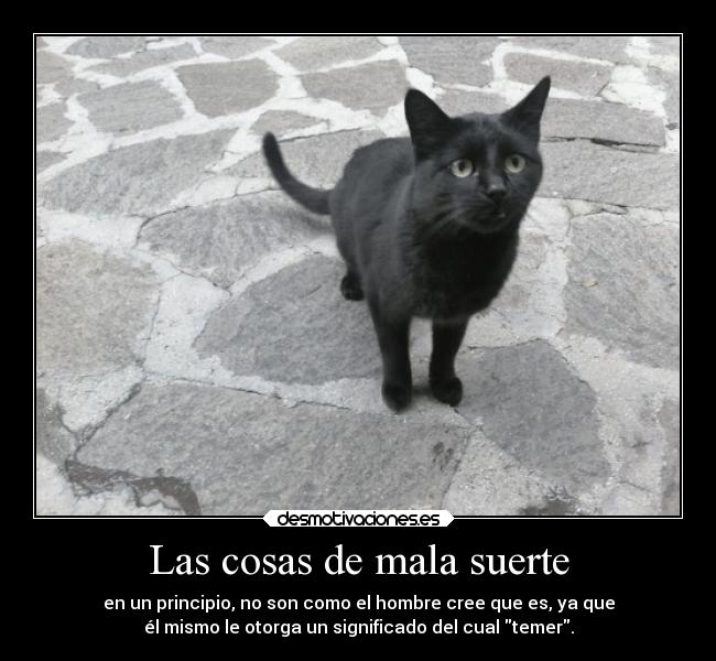 Las cosas de mala suerte - 