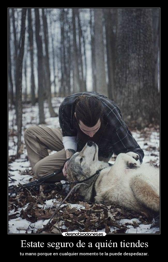 Estate seguro de a quién tiendes -